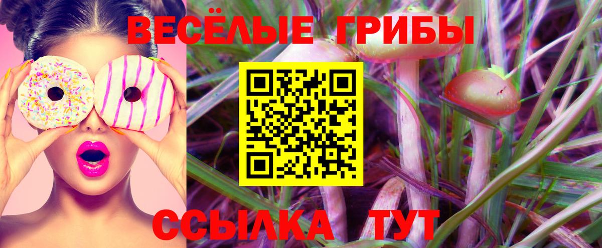 Галлюциногенные грибы MAGIC MUSHROOMS  как найти наркотики  Вольск  Вход с VPN 