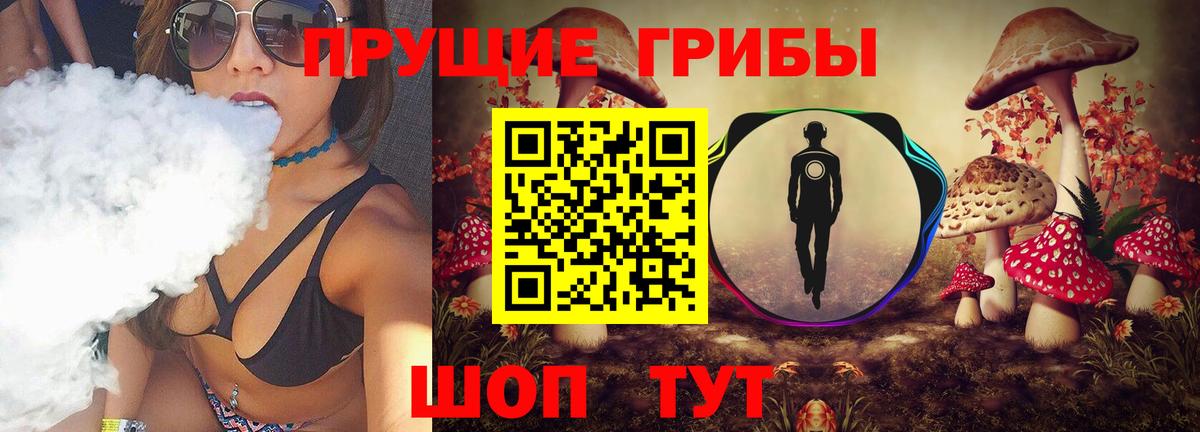 Псилоцибиновые грибы Psilocybine cubensis Вольск
